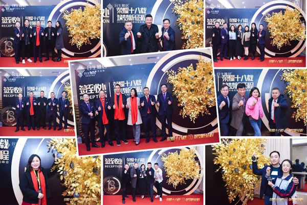 榮耀十八載 筑夢新征程 | 2024年度合生雅居經(jīng)銷商峰會(huì)圓滿成功