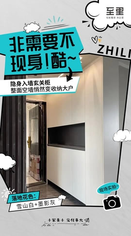 至里達(dá)斐麗|10大定制柜落地交付「“柜”氣十足」