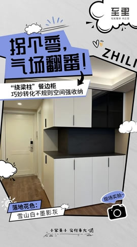 至里達(dá)斐麗|10大定制柜落地交付「“柜”氣十足」
