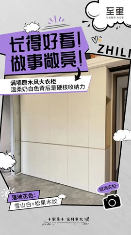至里達(dá)斐麗|10大定制柜落地交付「“柜”氣十足」