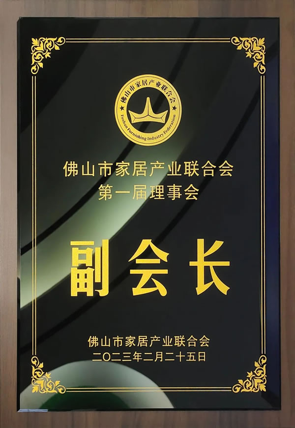 春運流量賦能！法迪奧與「有家就有佛山造」產業(yè)IP廣告刷屏五大城市高鐵站