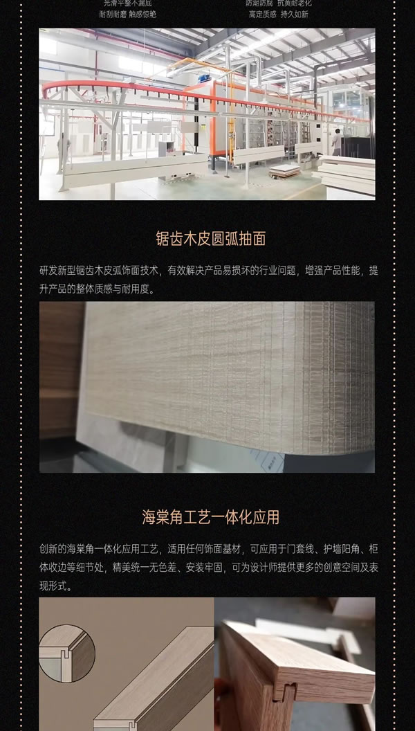 銳意進取，永攀高峰！邀您共鑒柏菲倫2023“高光時刻”！