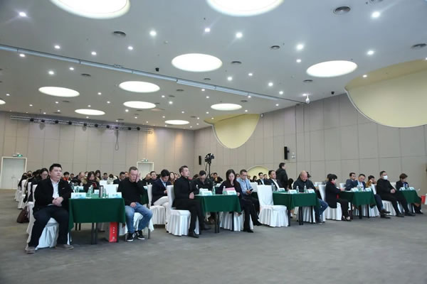 連續(xù)四屆！德利豐巖板榮獲金巖獎“2023年度影響力巖板品牌”