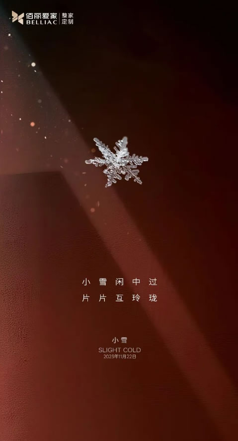 佰麗愛家整家定制|小雪閑中過，片片互玲瓏