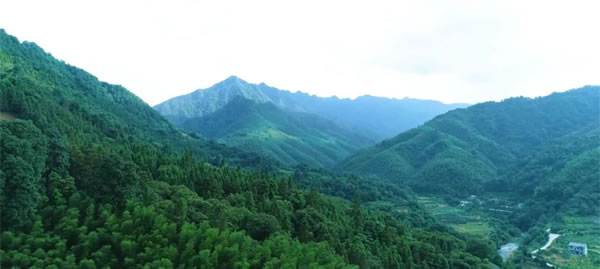 健康家居，優(yōu)選美尼美香杉醇香板
