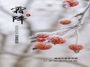 德維爾簡(jiǎn)奢整家定制·今日霜降 | 霜起融秋意，歸家暖如初