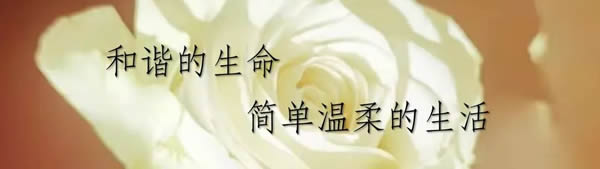 曲美家居|守護鄉(xiāng)村是在守護我們的文化底氣