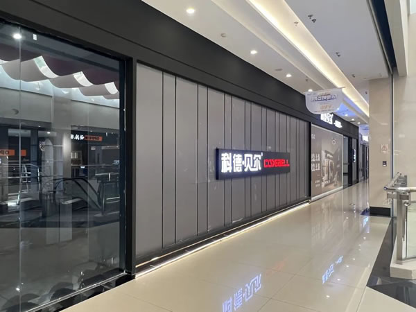 張軍遠(yuǎn)：打造科德貝爾共享平臺 驅(qū)動省級公司整家新模式