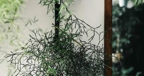 萊住“多巴胺”快樂家居，讓宅家時(shí)光不再單調(diào)emo！