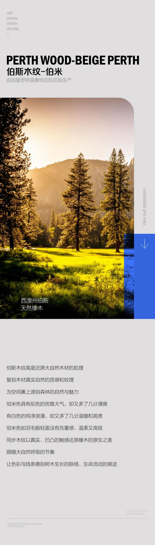 至里·達斐麗—同步系列：伯斯木紋·伯米