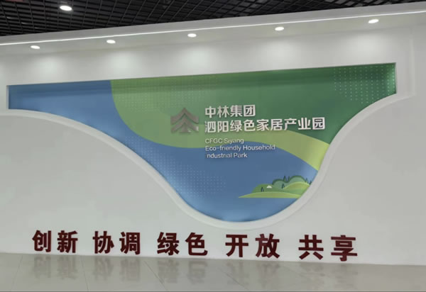 重磅！麗維家與央企品牌中林康家達成合作意向，S2B2C模式賦能企業(yè)增長新動力