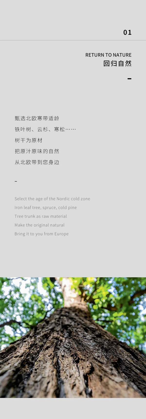 盛比亞整家定制 | 愛格板：匠心木作 繾綣生活