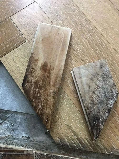 勞卡|關(guān)于潮濕天氣定制家具產(chǎn)品的保養(yǎng)常識