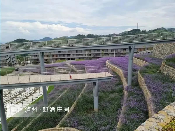 谷之木 | 公司動(dòng)態(tài)|共促行業(yè)發(fā)展，錫山成為廣東省建筑裝飾設(shè)計(jì)暨廣東省建筑裝飾材料行業(yè)協(xié)會(huì)副會(huì)長(zhǎng)單位！