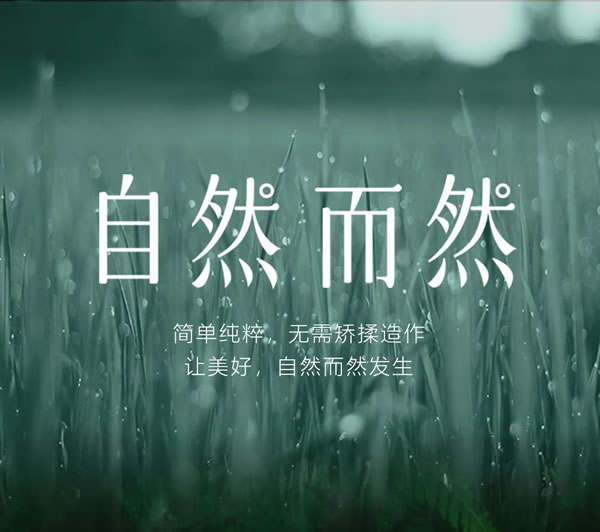 詩尼曼整家定制·2023整家新品預(yù)告 | 生活無需矯揉造作，美好本應(yīng)「自然而然」