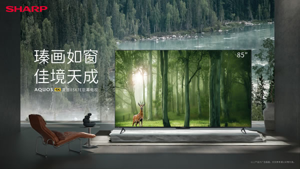 雙11如何挑選電視？夏普電視選購指南來了！