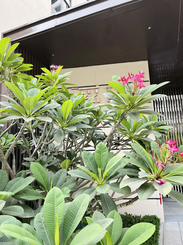 萬林宅配·探房13丨萬科溪望復式現(xiàn)代阿瑪尼風格效果圖VS實景圖神還原