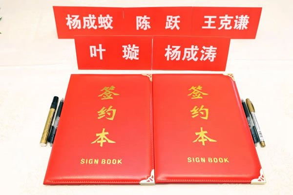 DISAN鼎尚空間 | 攜手著名影星葉璇開啟品牌新篇章