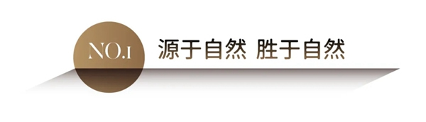 科技造就自然之美 | 關(guān)于莫干山全屋定制科技木的這幾件事，你一定要知道！