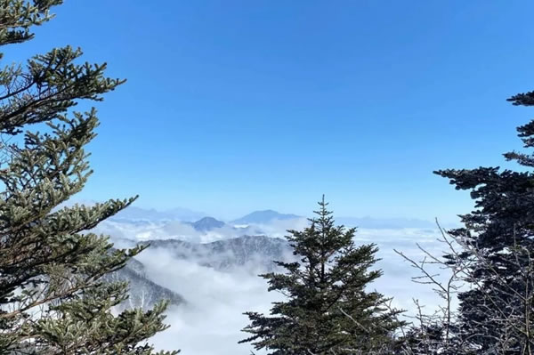窗含西嶺千秋雪，云上攀登柏麗嘉