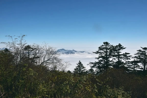 窗含西嶺千秋雪，云上攀登柏麗嘉