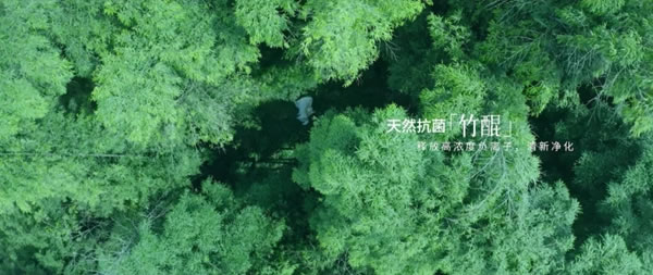 高端品牌尼莫菲與麗維家全屋定制強強聯(lián)合，重新定義好板材標準