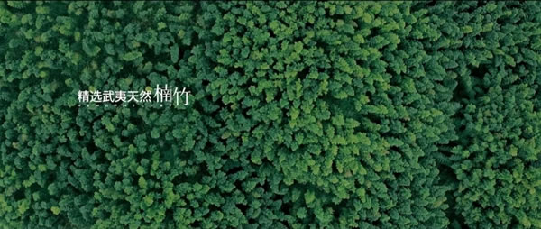 高端品牌尼莫菲與麗維家全屋定制強強聯(lián)合，重新定義好板材標準