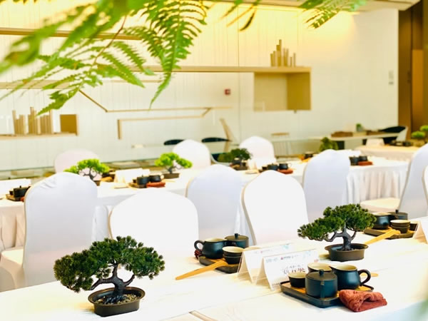 法迪奧不銹鋼藝術(shù)家居肇慶旗艦店VIP客戶茶藝沙龍優(yōu)雅呈現(xiàn)