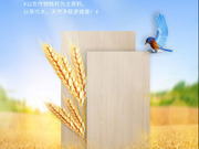 零醛添加為健康加碼，箭牌家居定制打造安全環(huán)保的綠色家居生活！