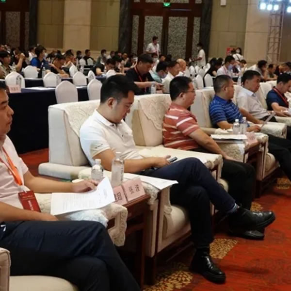 天湘板業(yè)再摘“中國板材國家品牌”、“2020年度十大飾面板品牌”榮譽(yù)稱號