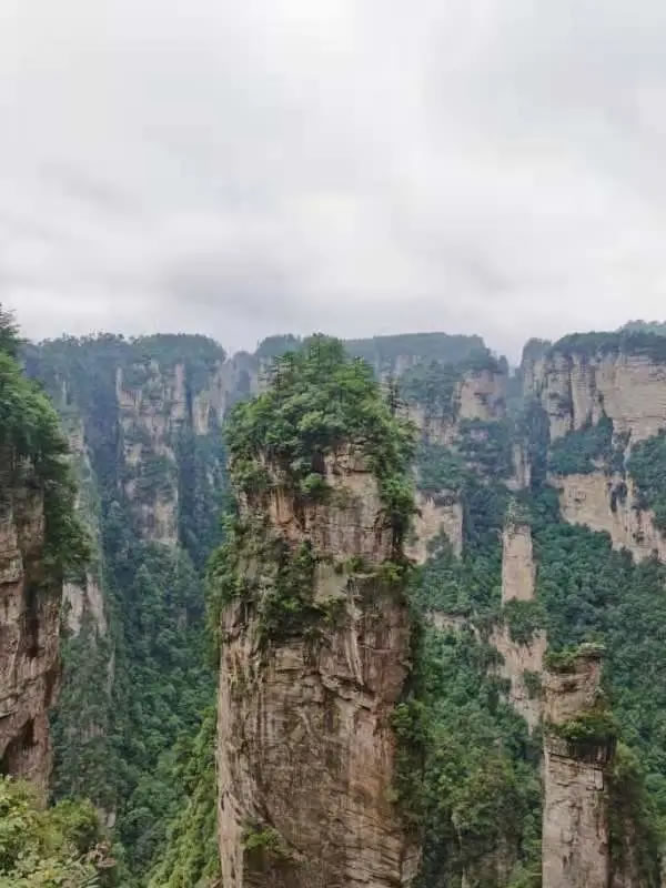 客來福家居合肥分公司張家界團建活動之旅