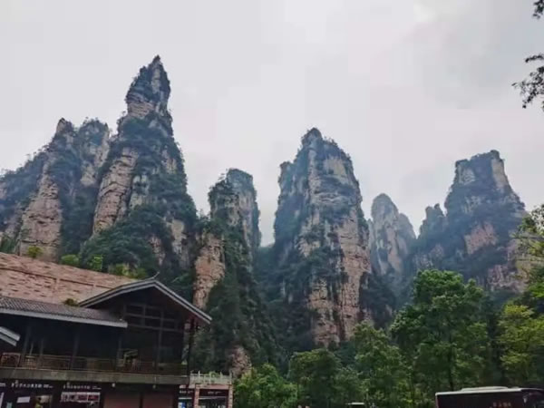 客來福家居合肥分公司張家界團建活動之旅
