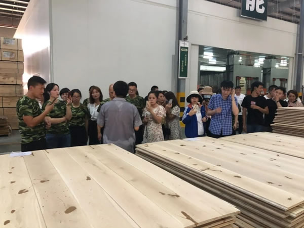 兔寶寶健康家居瀚海計(jì)劃“揚(yáng)帆訓(xùn)練營”地板大訓(xùn)圓滿結(jié)束