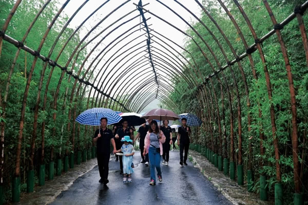 客來(lái)福全屋定制黨支部開(kāi)展端午黨建活動(dòng)