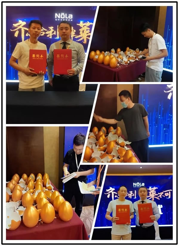 齊心合力，非萊不可 | Nola輕時尚定制家居財富峰會圓滿落幕