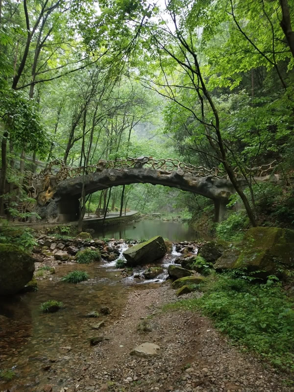 平凹國(guó)際家居 | 青春有夢(mèng)，不負(fù)時(shí)光，共賞湖光山色！