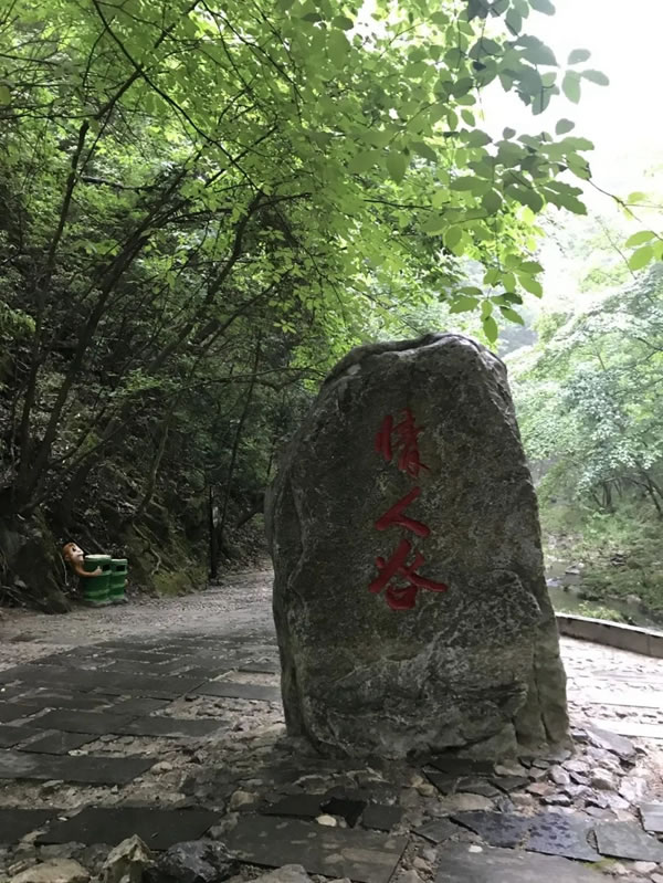 平凹國(guó)際家居 | 青春有夢(mèng)，不負(fù)時(shí)光，共賞湖光山色！