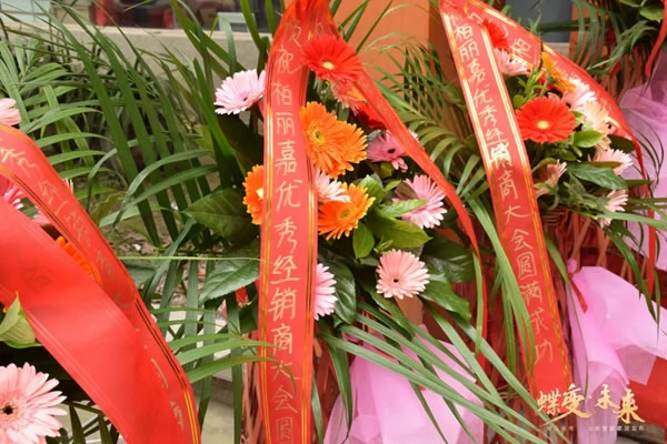 蝶變·未來(lái) 全新智能家居發(fā)布會(huì)|2021年柏麗嘉全屋智能定制銷商峰會(huì)隆重召開