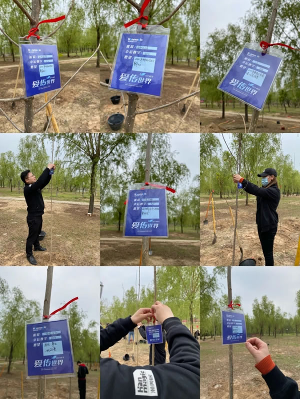瀚美居全屋定制丨種下希望—第六屆植樹活動圓滿成功！