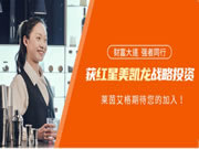 “搶占先機(jī) 贏戰(zhàn)2021”，萊茵艾格招商峰會即將舉行