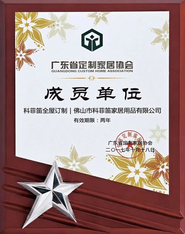 科菲笛全屋定制家居：回顧2020，展望2021！