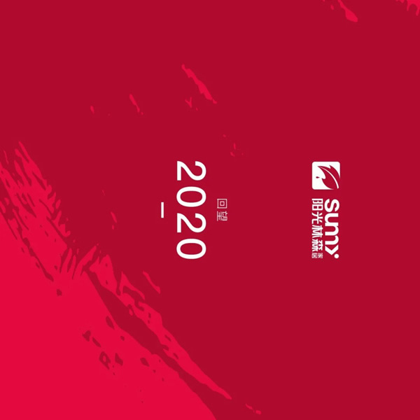 圖說2020，陽光林森全屋定制這一年！