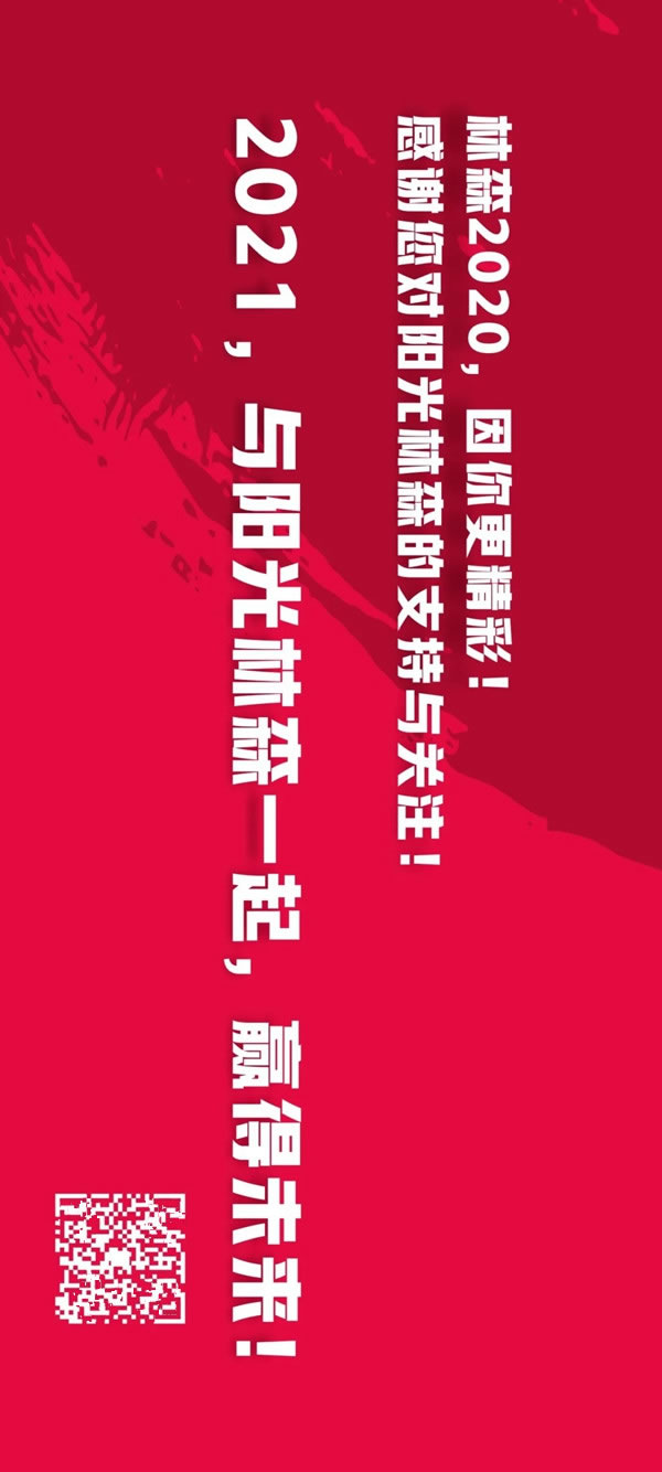 圖說2020，陽光林森全屋定制這一年！