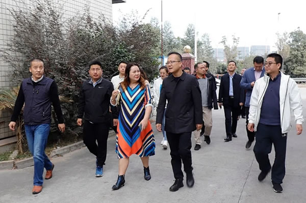 陜西省渭南市掛職干部蒞臨伊思特集團(tuán)指導(dǎo)考察