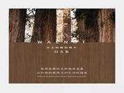 宜美森帶您看看胡桃木護(hù)墻有多簡(jiǎn)潔優(yōu)雅！