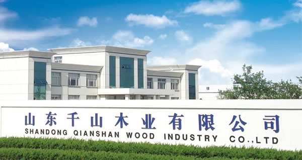 千山板材受邀出席臨沂市新媒體行業(yè)黨委黨性教育暨美麗鄉(xiāng)村平邑行活動