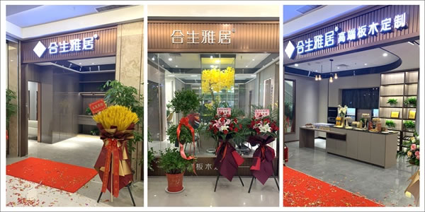 合生雅居武漢店盛大開業(yè) 優(yōu)惠促銷“搞事情”
