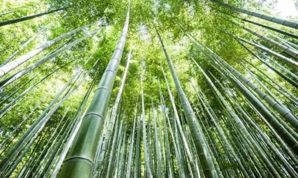 千年舟集團(tuán)榮獲「2023年度ESG先鋒企業(yè)」_11