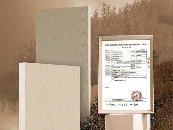 歐蒂尼家居|整家定制木飾面選購(gòu)全攻略：讓你的家更溫馨、更個(gè)性