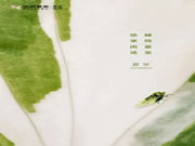 佰麗愛家整家定制- 夏至 -